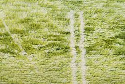 Kilim Marocký Berberský koberec Azilal 250 x 160 cm
