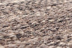 Vlněný koberec - Wellington (černá)