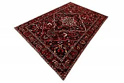 Orientální Koberec Hamedan 298 x 202 cm