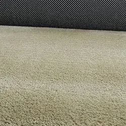 Asymetrický Vlnitý Shaggy Koberec - Aranga Super Soft Fur (světle zelená)