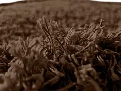 Shaggy koberce - Bonnie Natural Cotton Shaggy (hnědá)