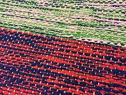 Hadrový koberec - Florens (vícebarevná)