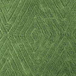 Shaggy koberce - Amberley Natural Cotton Shaggy (zelený)