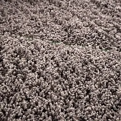 Shaggy koberce - Bellevue Natural Cotton Shaggy (taupe/zelená)