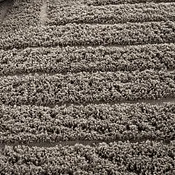Shaggy koberce - Conara Natural Cotton Shaggy (taupe)