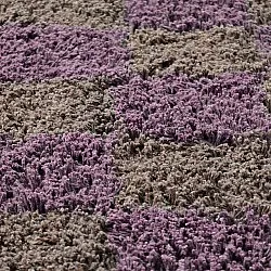 Kulatý koberec - Elsey Natural Cotton Shaggy (hnědá/fialová)