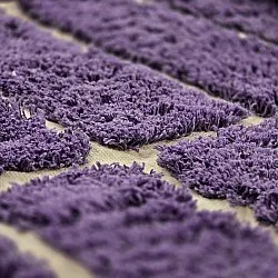 Kulatý koberec - Ikara Natural Cotton Shaggy (fialová)
