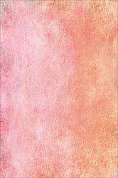 Wiltonský koberec - Baden (růžová)