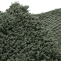 Kulatý koberec - Combarro Solid Cotton Shaggy (zelený)