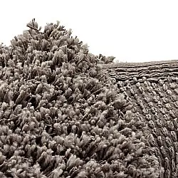 Kulatý koberec - Combarro Solid Cotton Shaggy (taupe)