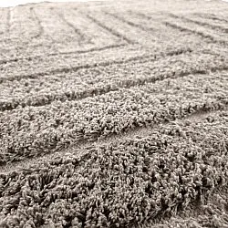 Kulatý koberec - Conara Natural Cotton Shaggy (taupe)