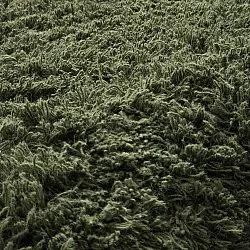 Shaggy koberce - Fassale Hand Woven Wool Shaggy (mechová zelená)