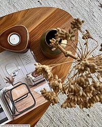 Vlněný koberec - Novo (béžová)