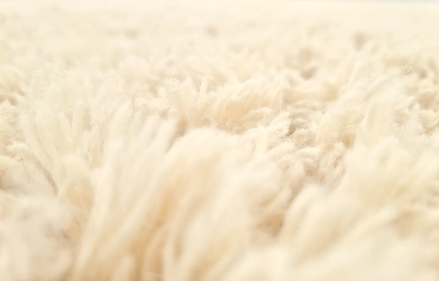 Vlněný koberec - Aliste Wool Shaggy (alabaster gleam)