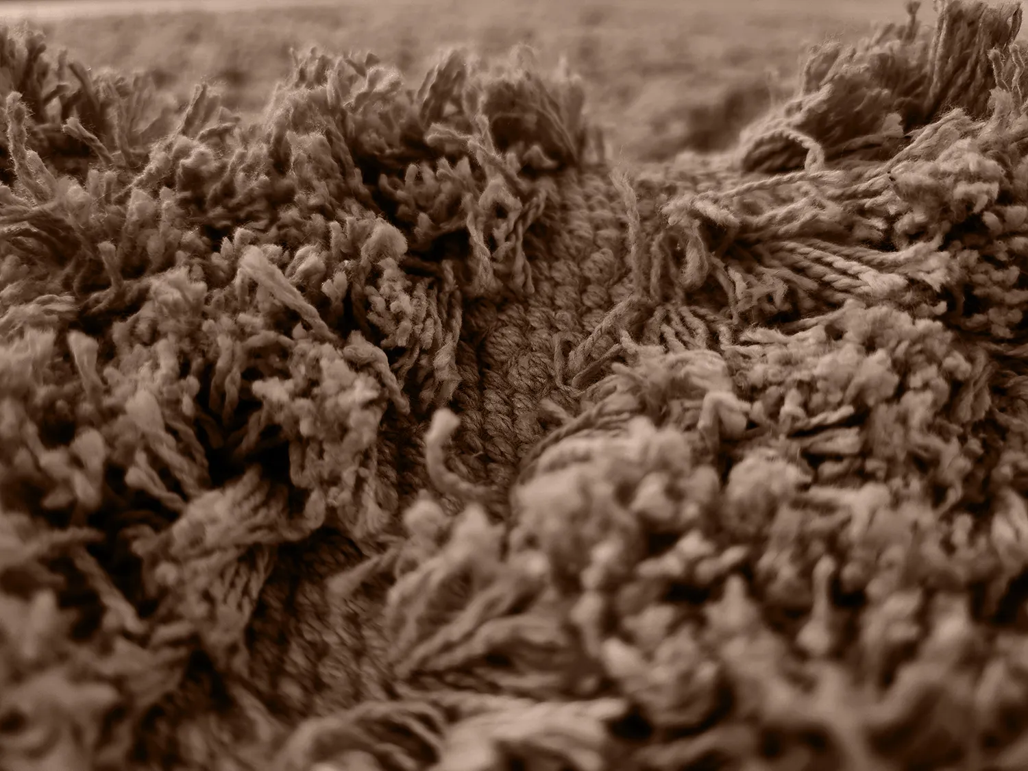 Shaggy koberce - Kendra Natural Cotton Shaggy (hnědá)