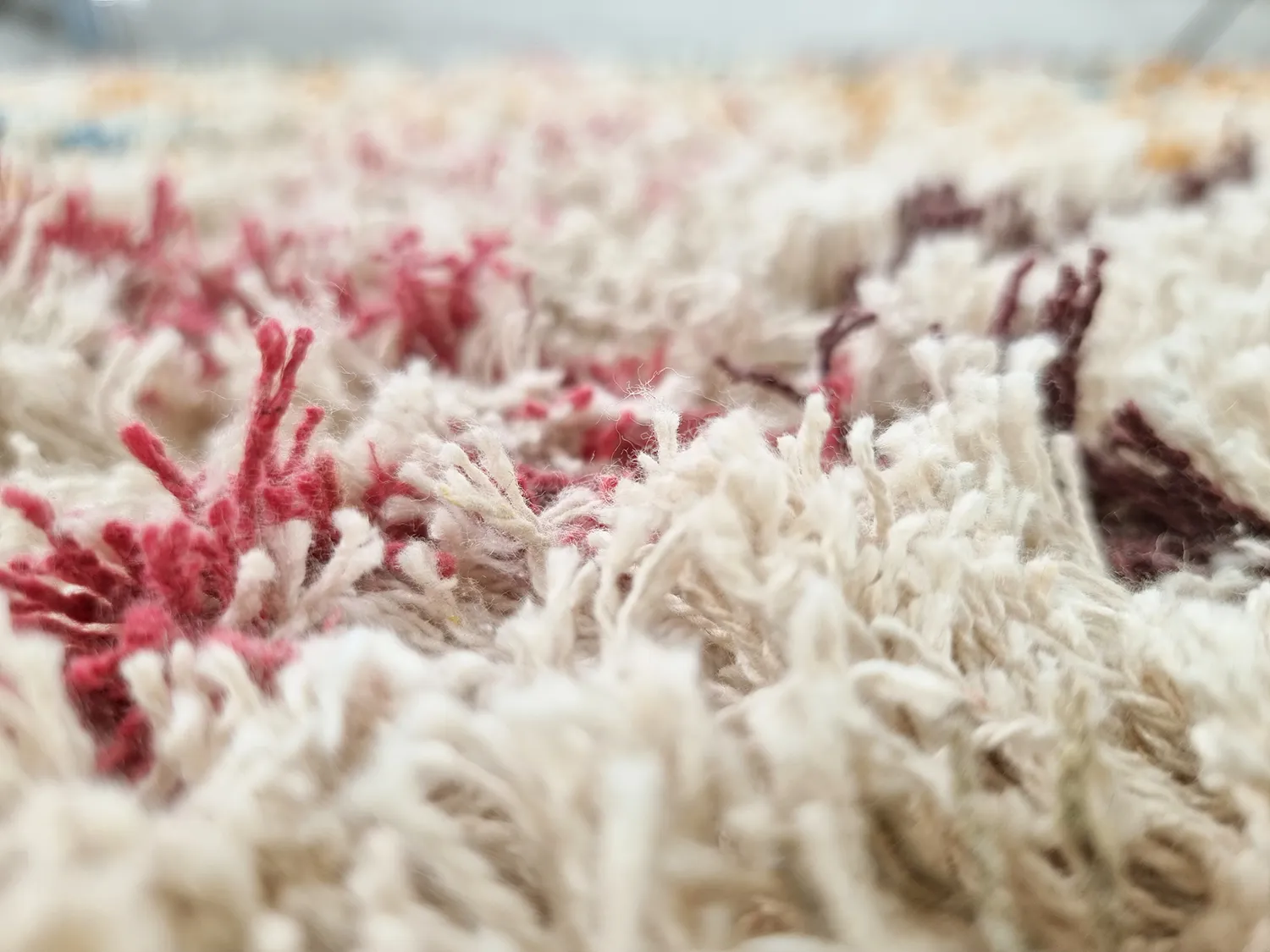 Shaggy koberce - Maloney Natural Cotton Shaggy (multi)