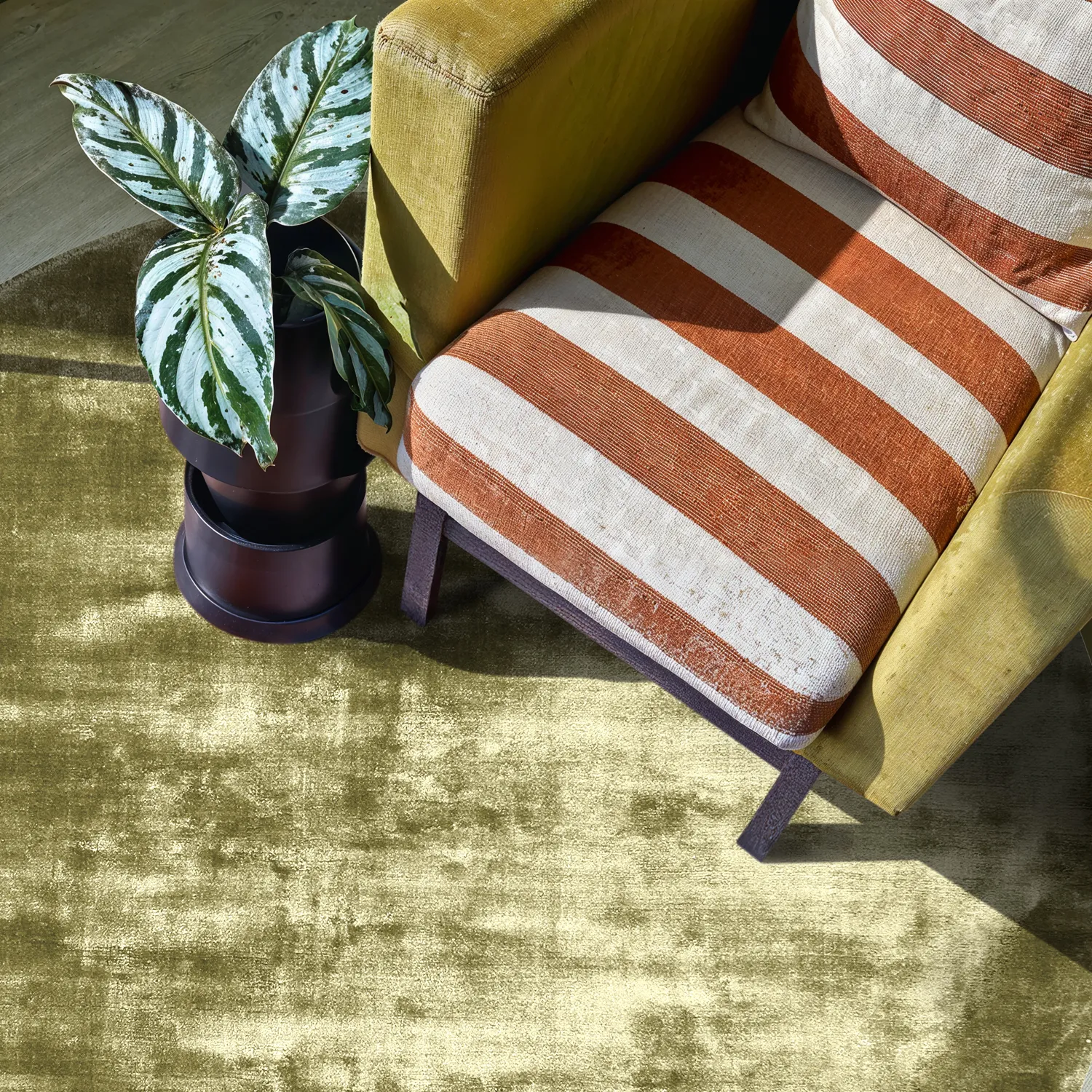 Kulatý koberec - Jodhpur Special Luxury Edition (olivově zelená)