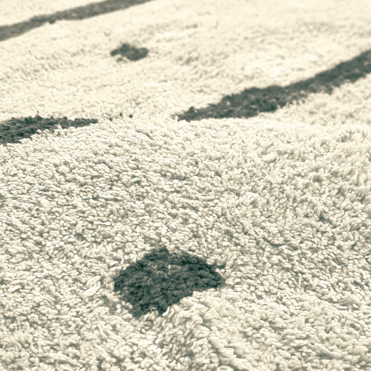 Kulatý koberec - Leora Natural Cotton Shaggy (béžová/zelená)